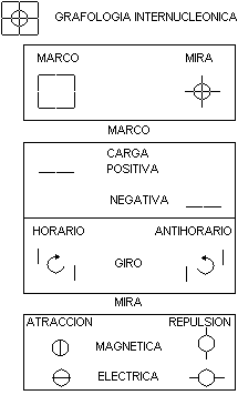 Grafología internucleónica