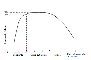 Representación esquemática de las relación entre el rendimiento relativo y la concentración foliar de nutrientes