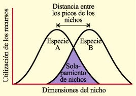 Gráfico de dimensión de un nicho ecológico