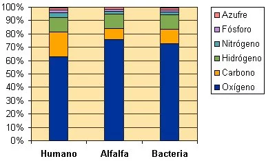 Composición porcentual de elementos básicos en diversos organismos