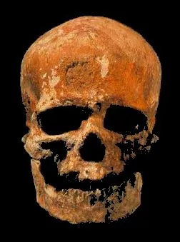 Cráneo del hombre de Cro-Magnon