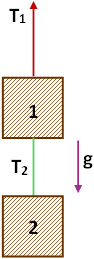 Esquema de los cuerpos