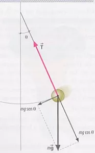 Representación de las fuerzas en la oscilación de un péndulo simple