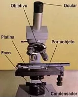 Microscopio compuesto