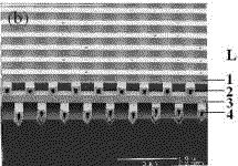 Cristales tridimensionales con tungsteno