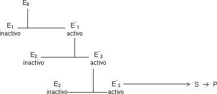 Cascadas enzimáticas