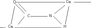 Plano rígido del enlace peptídico