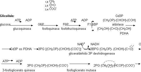 Glicolisis