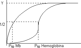 Gráfico de la función de saturación para hemoglobina y mioglobina