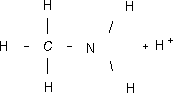Metil amina