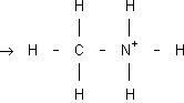 Metil amonio